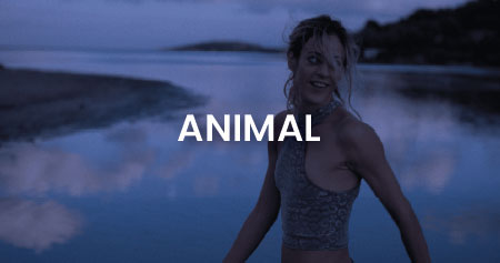 EUFF 31 Movie Country